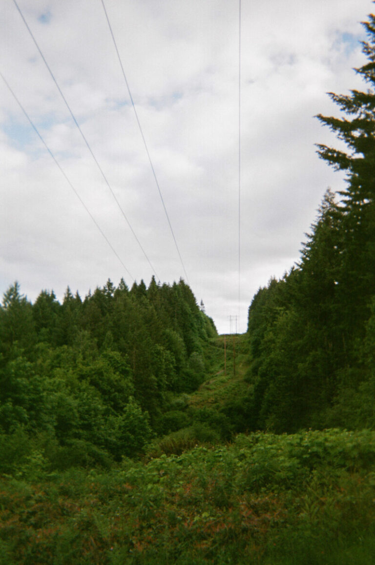 000018320012