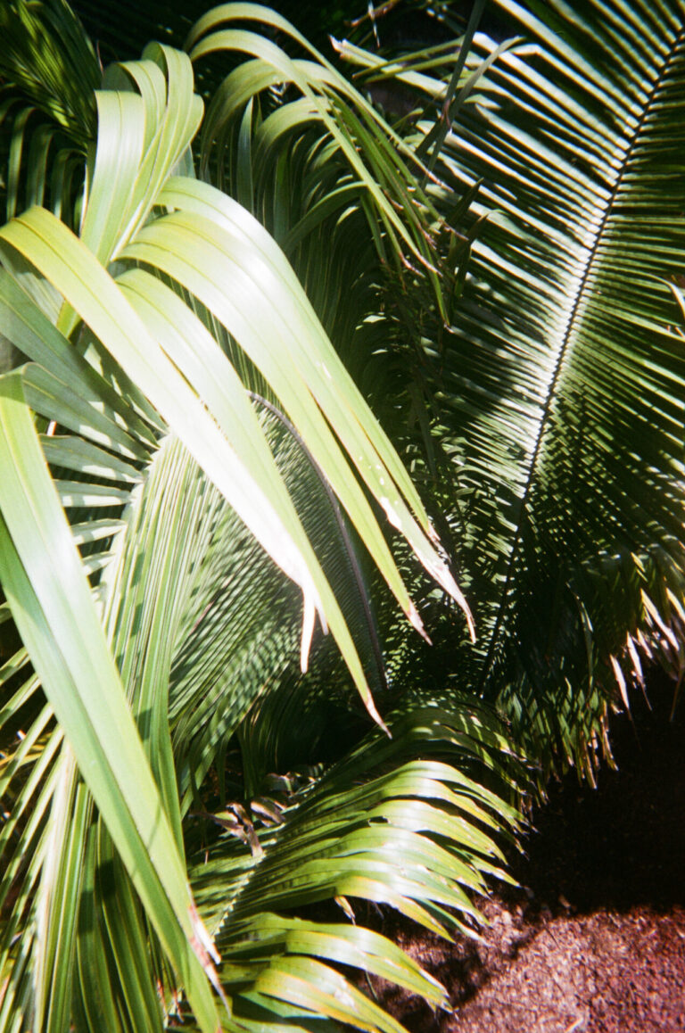 000023590018
