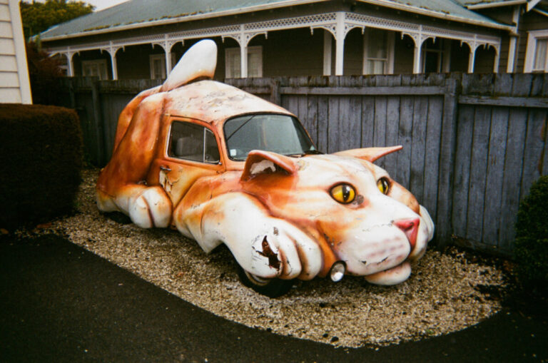 NZ 008