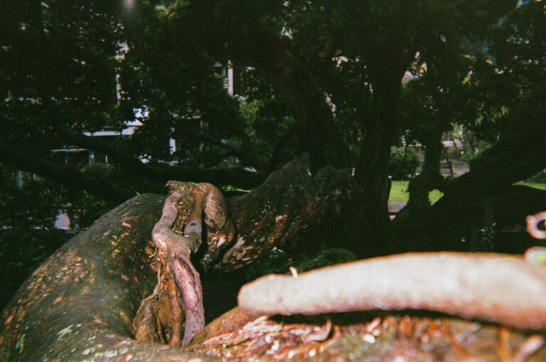 NZ 045