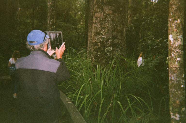 NZ 064