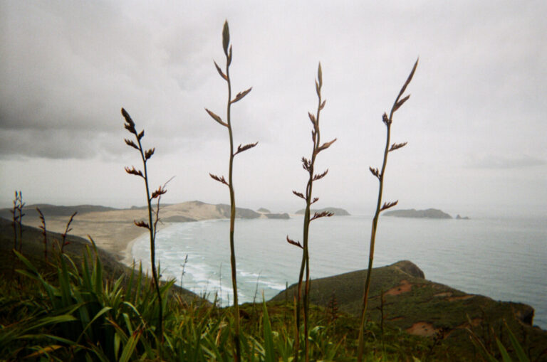 NZ 076