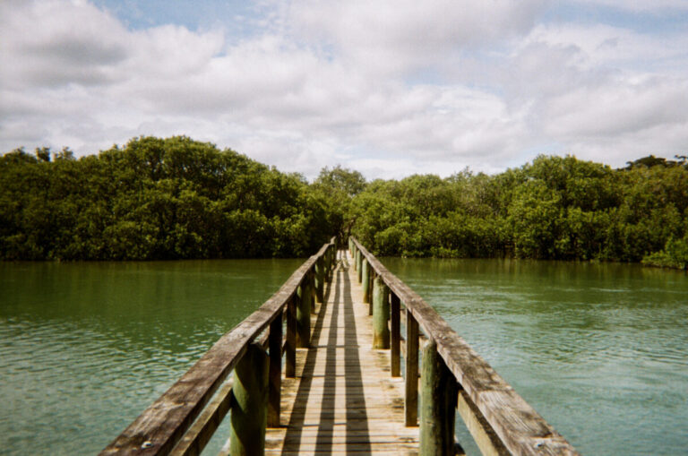 NZ 095