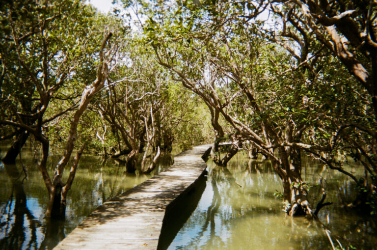 NZ 096