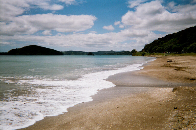 NZ 104