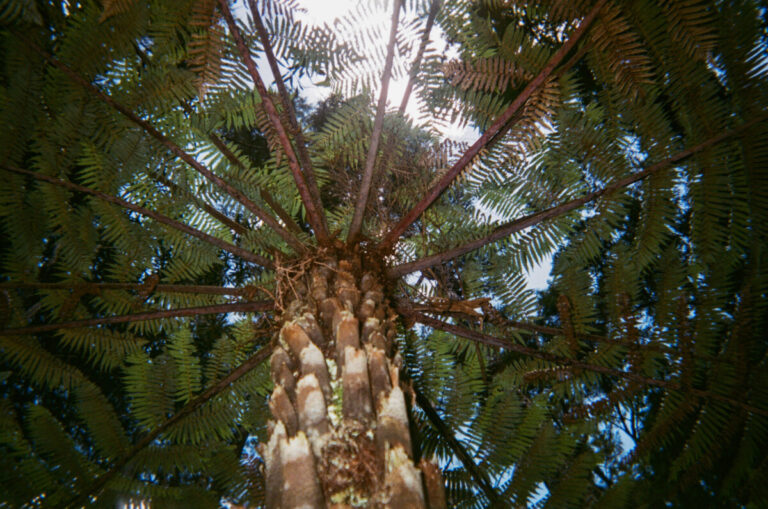 NZ 108