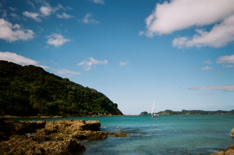 NZ 110