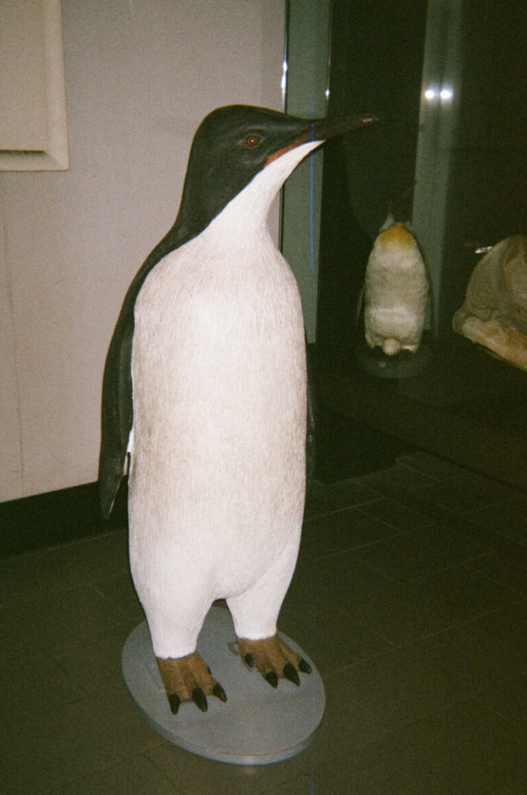 NZ 165