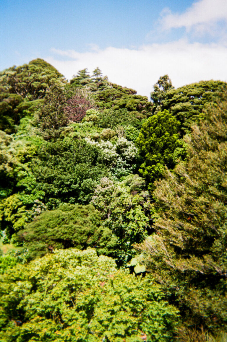 NZ 179