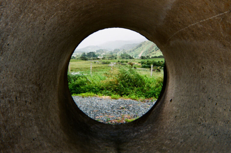 NZ 183