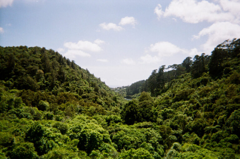 NZ 217