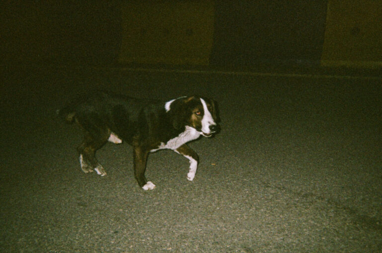 20190406 25
