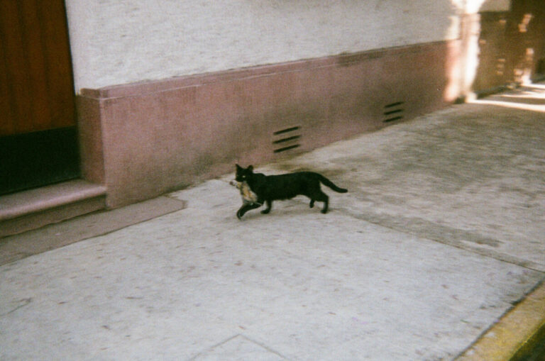 20190409 09