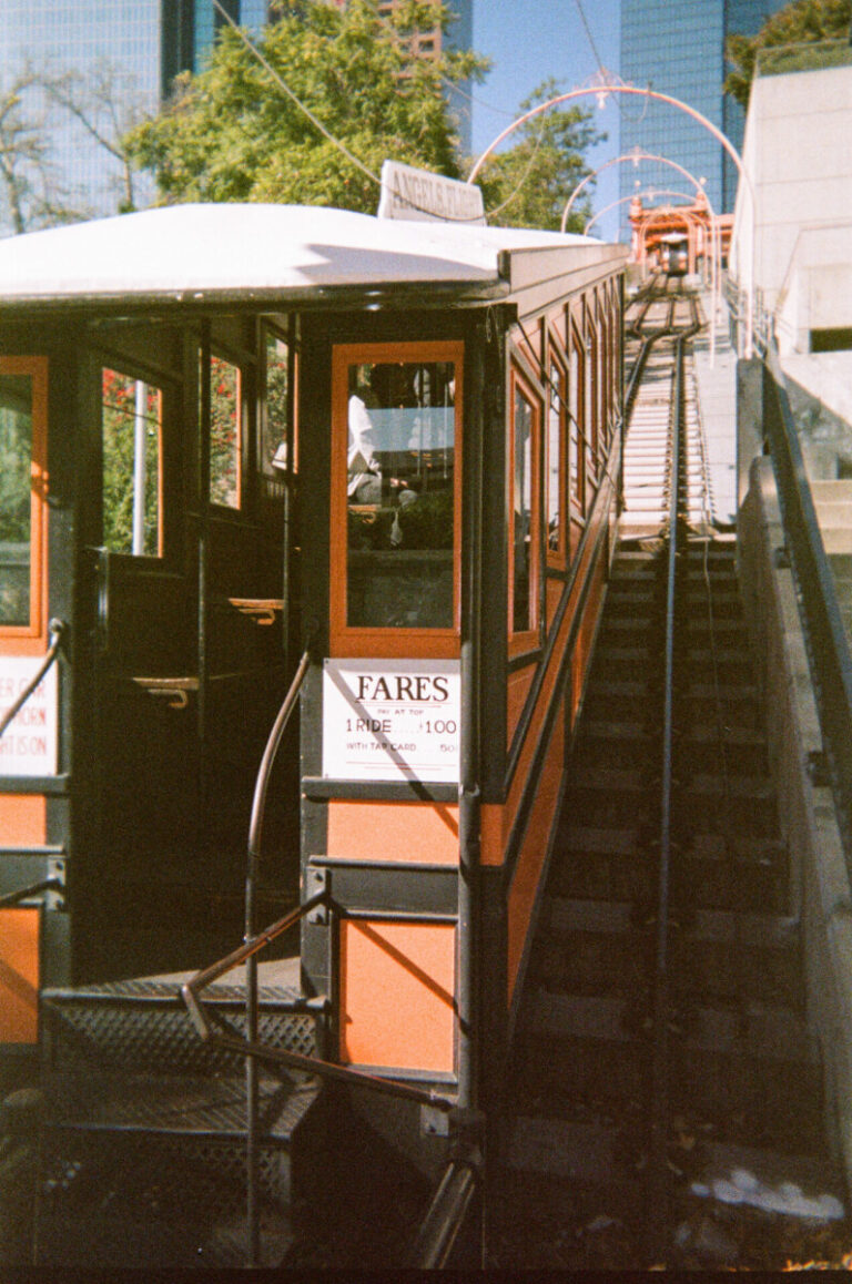 LAMX 03